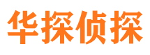 无极市侦探公司